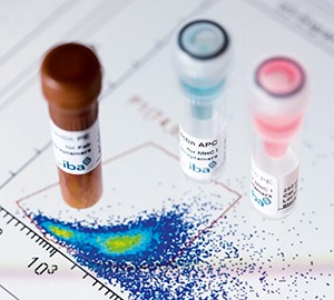 13473_IBA_099_rz-1 Fluorescent Cell Staining