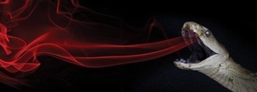 venom-immunotherapy-snake venom-immunotherapy-snake