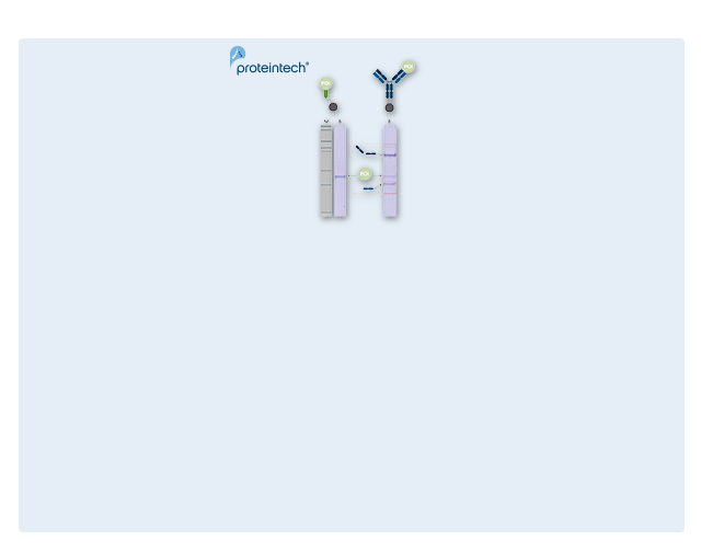 product banner