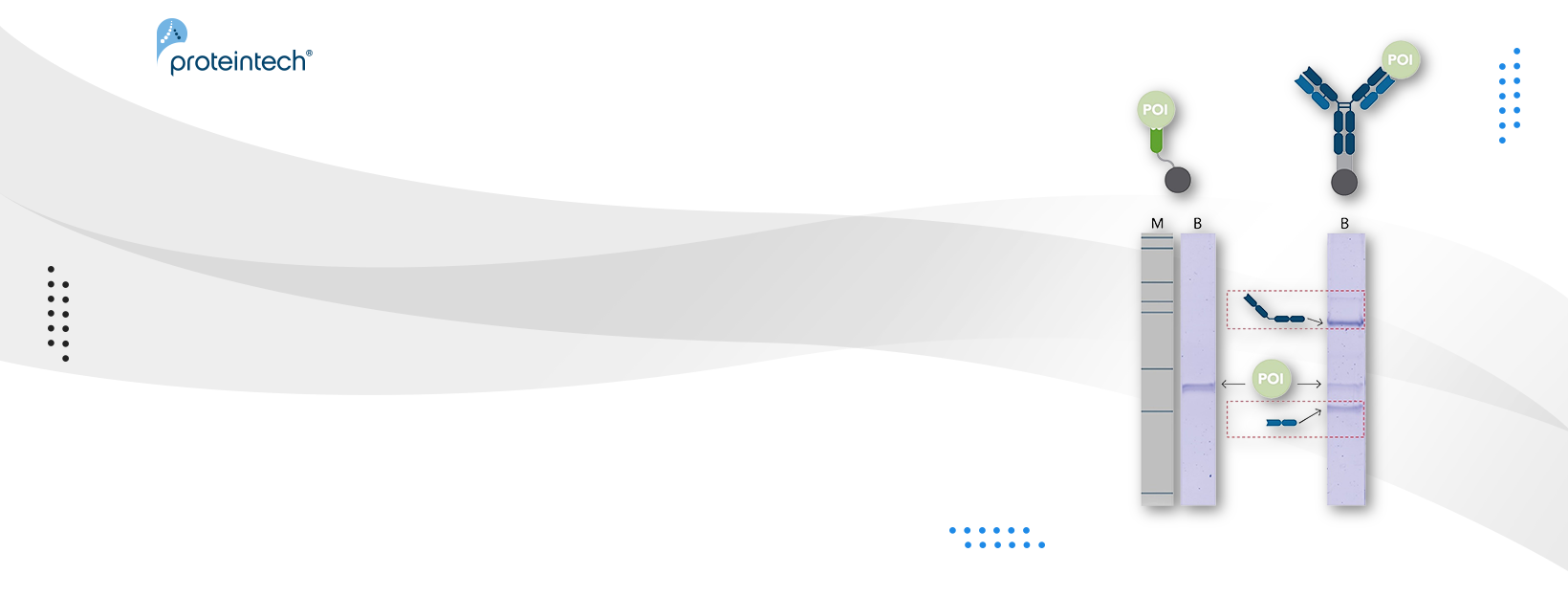 Product banner
