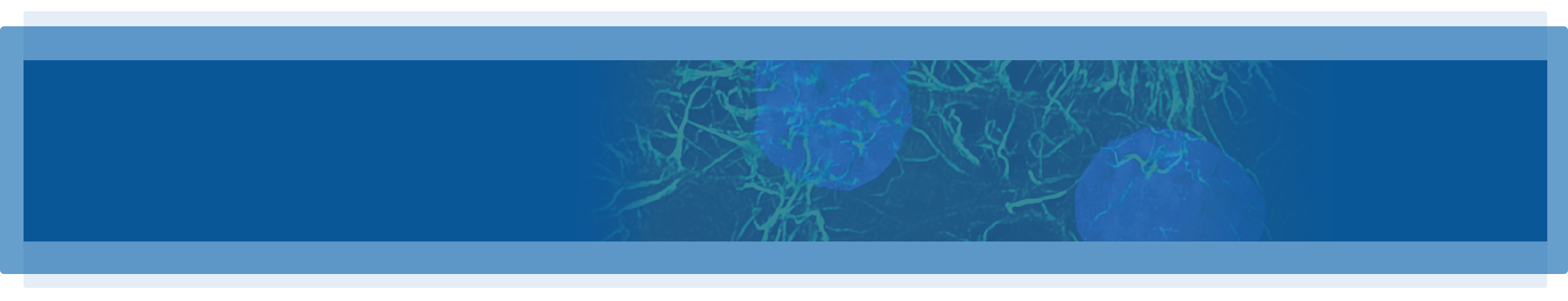 video banner