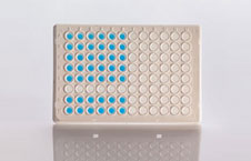 qPCR Master Mixes