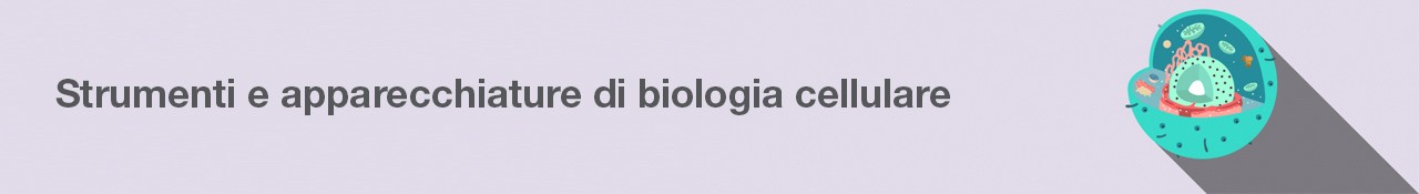 Life-Science-13297-CellBanner_IT Life-Science-13297-CellBanner_IT