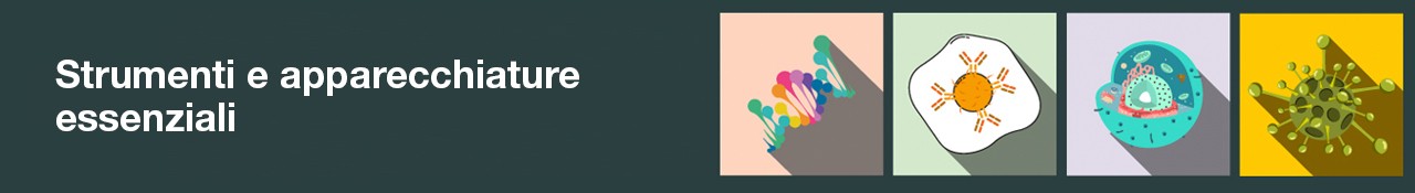Life-Science-13297-EssentialBanner_IT Life-Science-13297-EssentialBanner_IT