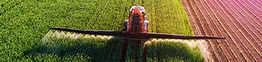 13506_Farmer 13506_Farmer