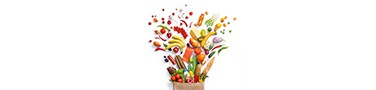 13506_Fruit 13506_Fruit