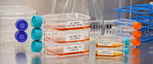 Lean Lab Identification