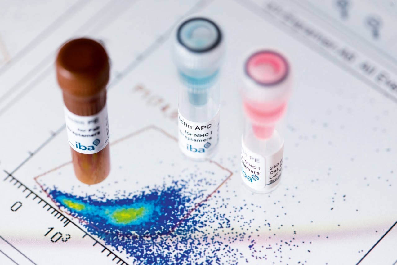 13473_IBA_099_rz-1 Fluorescent Cell Staining