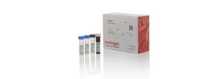 Multiplex Immunoassays